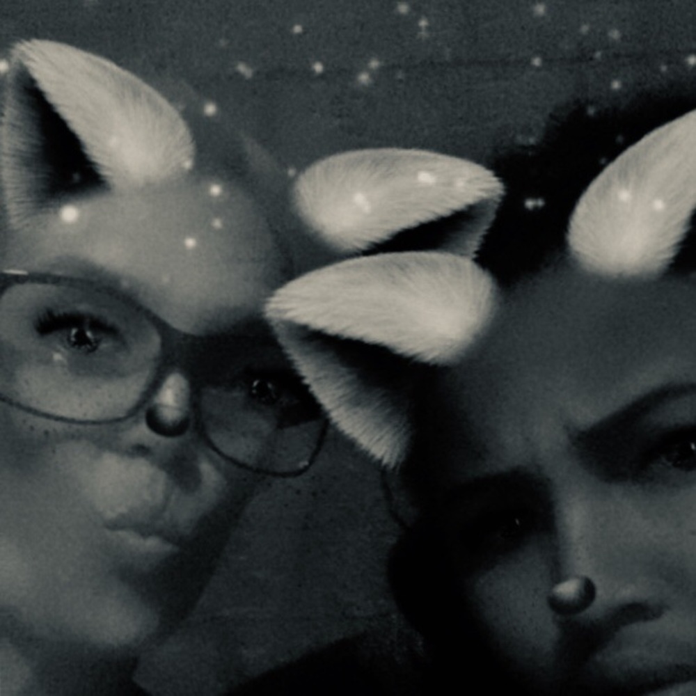 Meet your Posher, Hollie